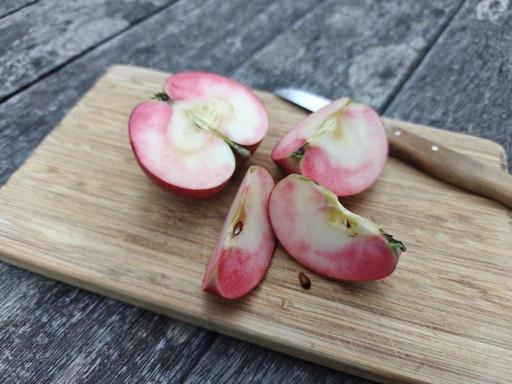 Malus domestica 'Red Devil' - Appel