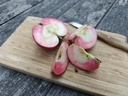 Malus domestica 'Red Devil' - Appel