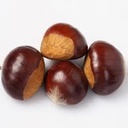 Castanea 'Belle Epine' - Tamme kastanje