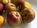 Malus domestica 'Superman' - Appel