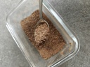 Zanthoxylum simulans - Szechuanpeper