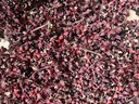 Zanthoxylum simulans - Szechuanpeper