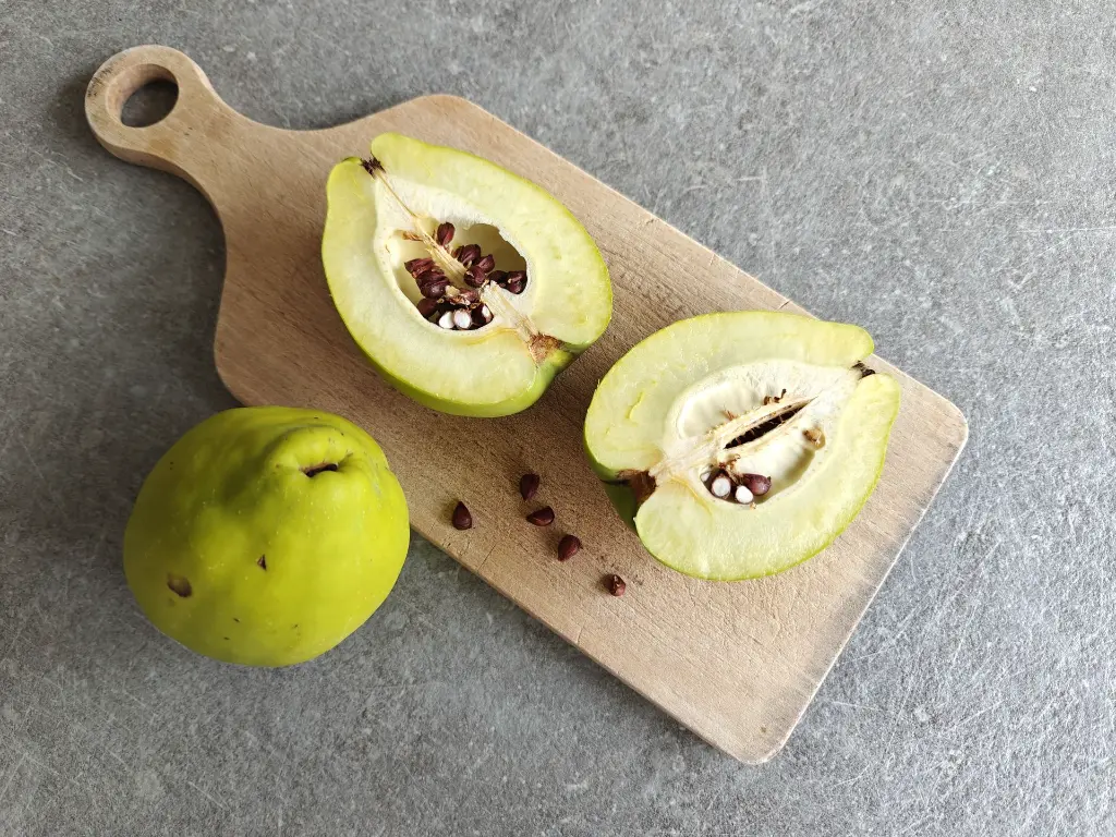 Chinese kwee_Chaenomeles cathayensis (7).webp