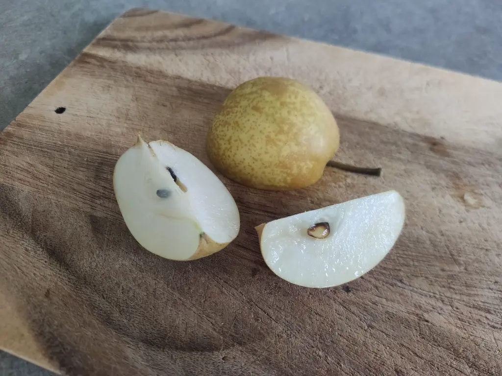 Nashi_Pyrus pyrifolia 'Kumoi' (13).webp