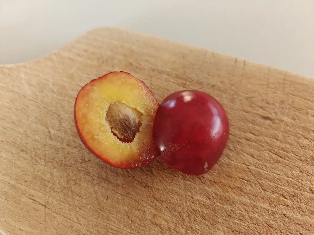 Pruim_Prunus cerasifera x salicina 'Kometa' (8).webp