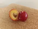 Pruim_Prunus cerasifera x salicina 'Kometa' (8).webp