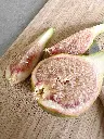 Vijg_Ficus carica 'Eden Project' (4).webp