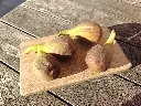 Vijg_Ficus carica 'Longue d'Août' (25).webp