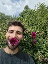 Roos_Rosa 'Roseraie de l'Hay'.webp