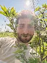 Colchische pimpernoot_Staphylea colchica_Seb.webp