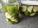 Okkernoot_Juglans regia 'Big & Easy' (1).webp