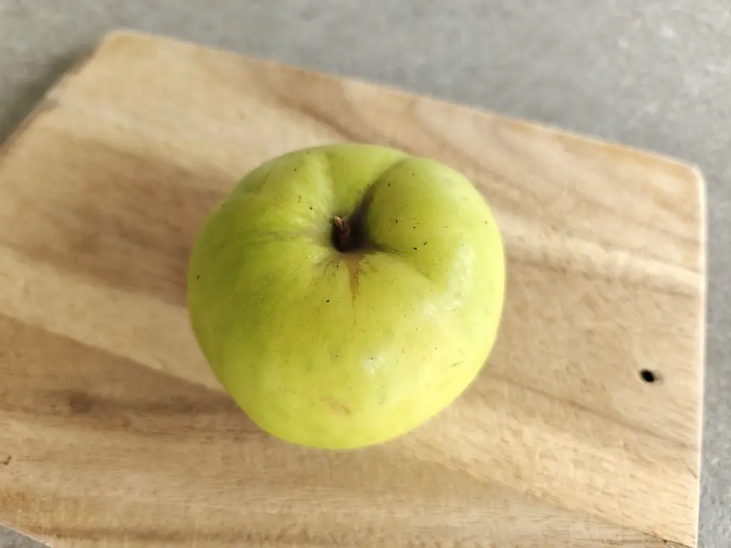 Appel_Malus domestica 'Transparante Blanche' (3).webp