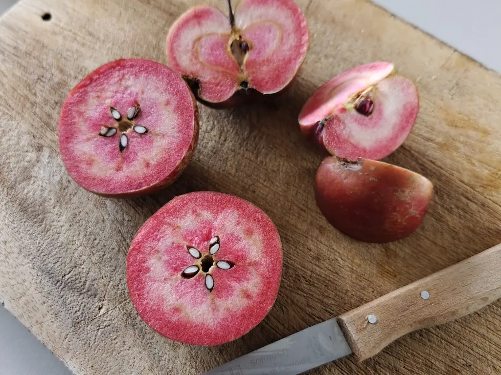 Malus dom. 'Niels' (10).webp