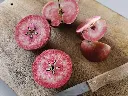 Malus dom. 'Niels' (10).webp