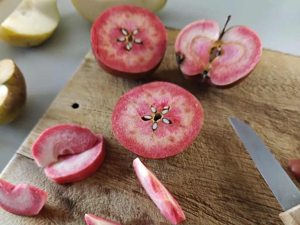 Malus dom. 'Niels' (11).webp