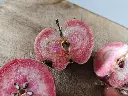 Appel_Malus domestica 'Niels' (6).webp