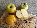 Appel_Malus domestica_Essching (2).webp