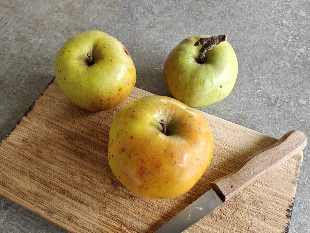 Appel_Malus domestica_Essching (1).webp