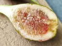 Ficus carica 'Eden Project' - Figuier