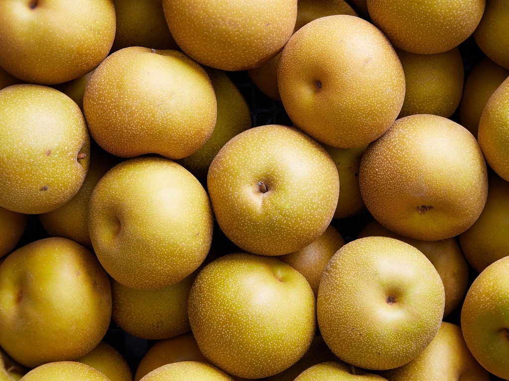Pyrus pyrifolia 'Shinko' - Nashi