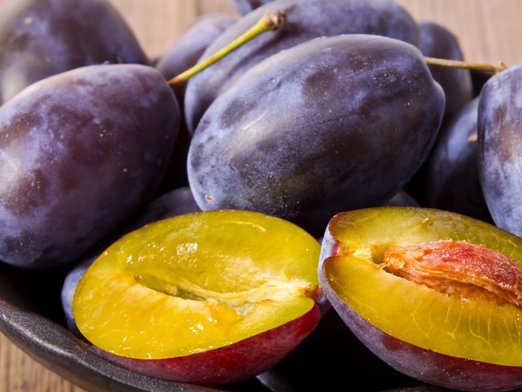 Prunus domestica 'Belle de Louvain' - Prune