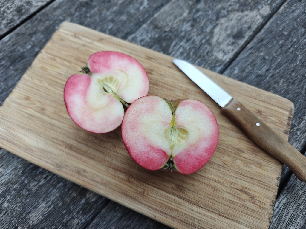 Malus domestica 'Red Devil' - Apfel