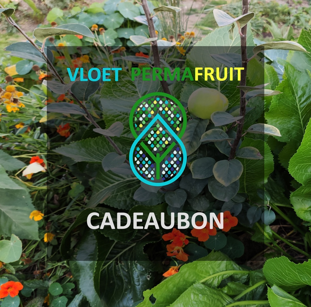 Cadeaubon