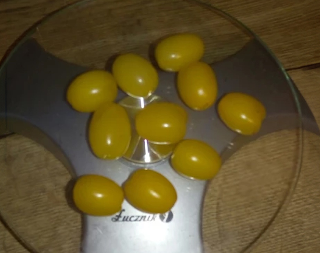 Cornus mas 'Alosza' - Cornelian cherry