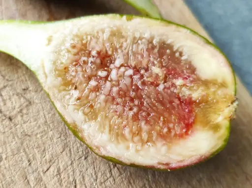 Ficus carica 'Eden Project' - Feigenbaum
